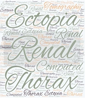 Nephro-Urol Mon